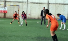 Mor Menekşeler Kız Futbol Takımı, Krikette de Başarılı