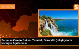 Türkiye, Örtü Altı Tarım Alanlarında Avrupa’da İkinci, Dünyada Dördüncü Sırada