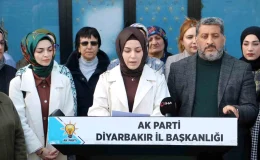 AK Parti Diyarbakır İl Kadın Kolları Başkanı: Kadınlar AK Parti iktidarıyla daha aktif