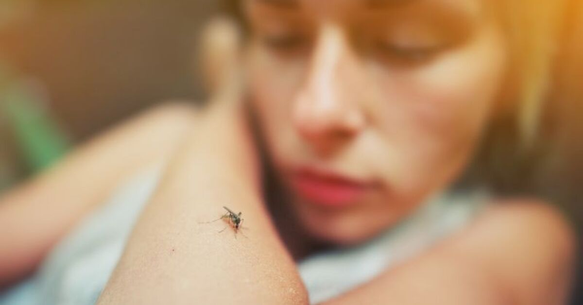 ABD’de Batı Nil virüsünden 2 kişi hayatını kaybetti