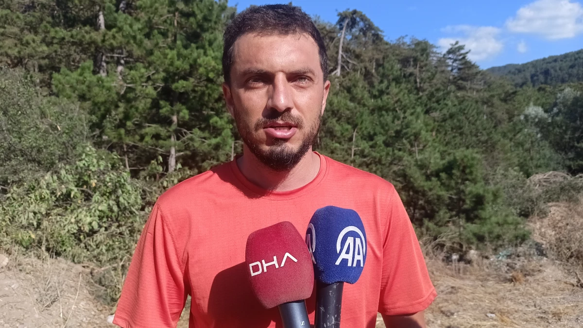 Bolu’da çıkan orman yangınında durum kontrol altına alındı