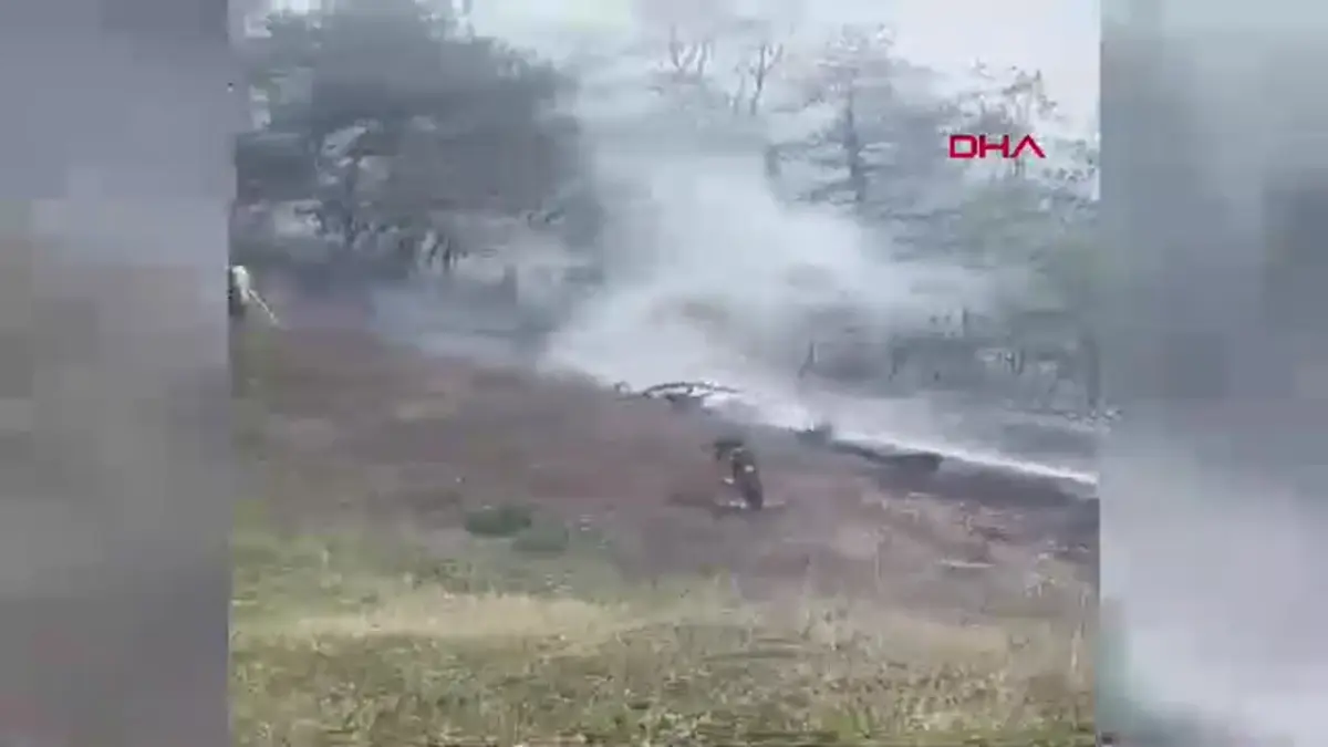 Düzce’de çıkan orman yangını kontrol altına alındı