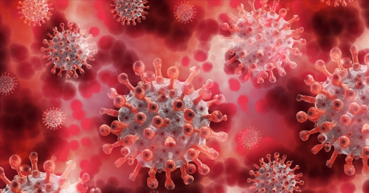 “M çiçeği, yeni Kovid değil”