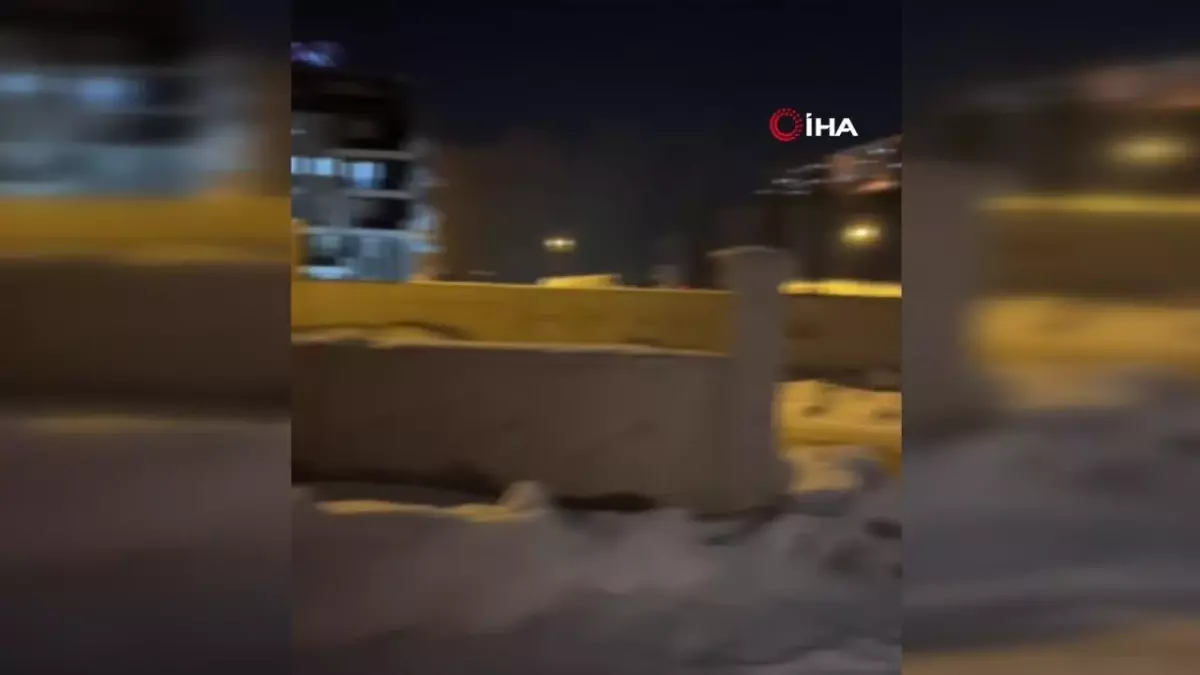 Bayburt’ta Tilki Çatıya Çıktı