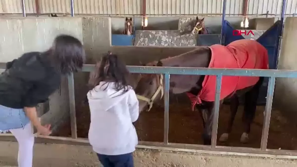 Osmaniye’de Nesiller Buluştu: ‘Torunum Olur musun?’ Etkinliği Yapıldı