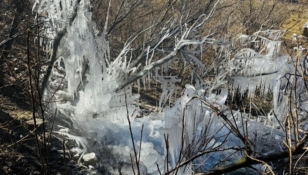 Bir ilde hava sıcaklığı eksi 10 dereceye düştü: Ağaçlarda buz sarkıtları oluştu