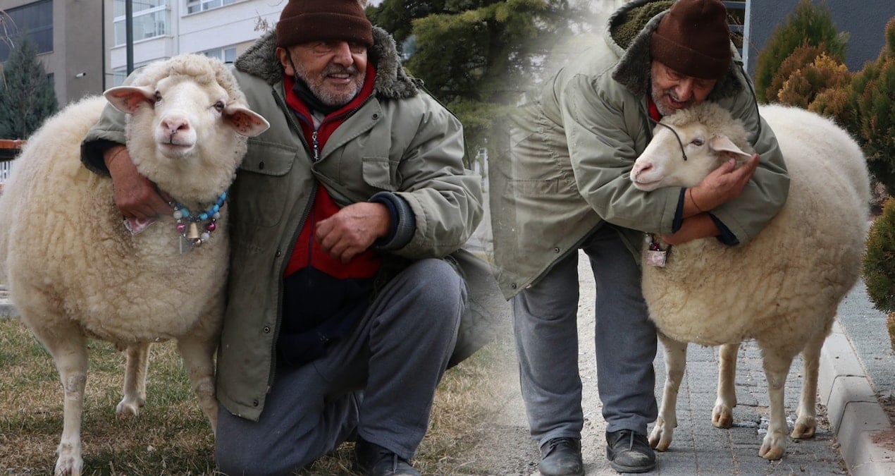 Kuzuyken aldı: 4 yıldır yanından ayrılmıyor