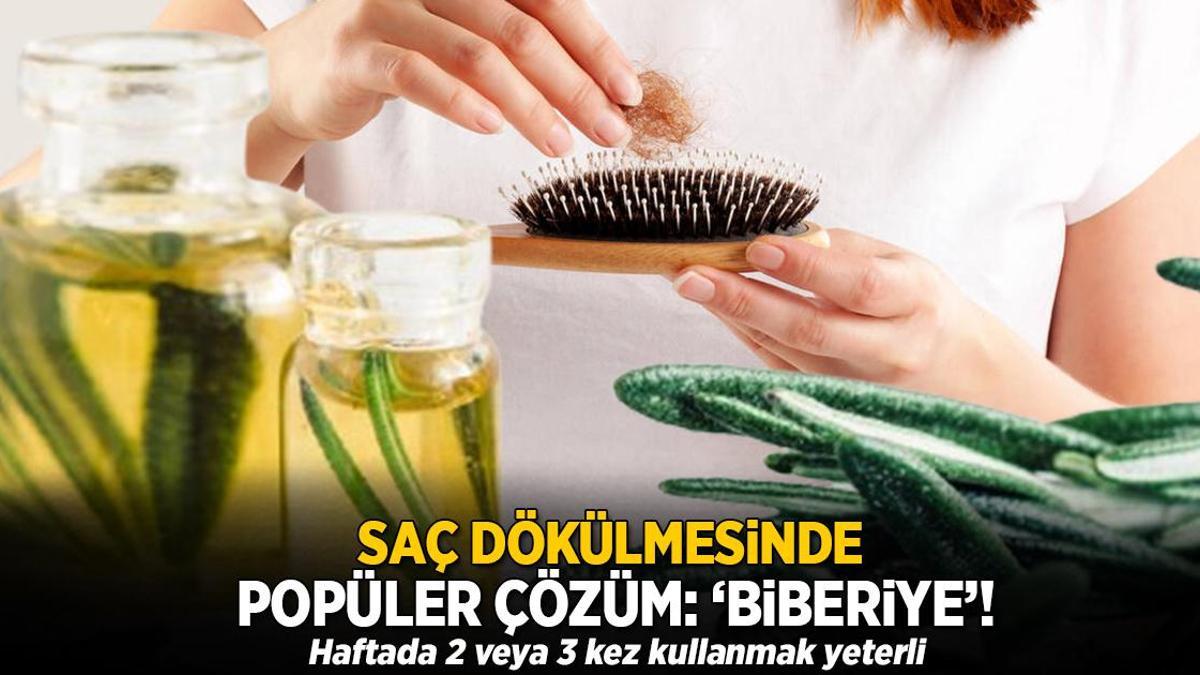 Saç dökülmesinde popüler çözüm: ‘Biberiye’! Haftada 2 veya 3 kez kullanmak yeterli